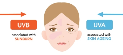 UV Rays From The Sun Damages Your Skin Everyday UV Rays From The Sun Damages Your Skin Everyday